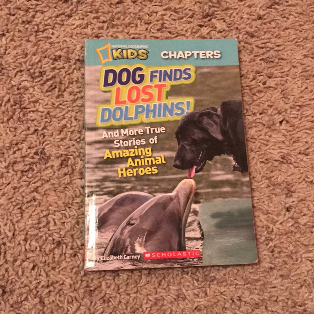 Kids animal book